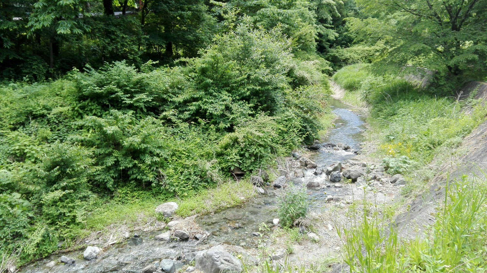 Pension Ookinaki Bed & Breakfast Fujikawaguchiko Exterior photo